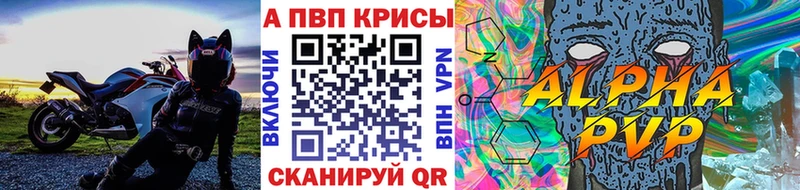 дарнет шоп  Вязьма  A PVP мука 
