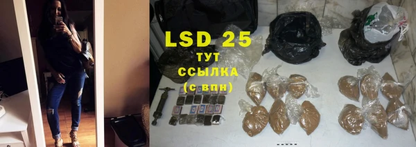прущие грибы Дубовка