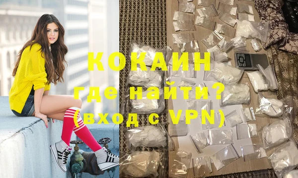 индика Рославль