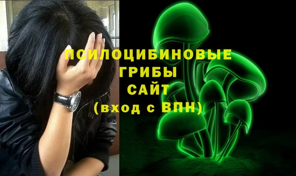 спиды Приозерск