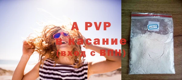 стаф Ростов