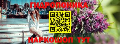 эйфоретик Будённовск