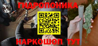 эйфоретик Будённовск