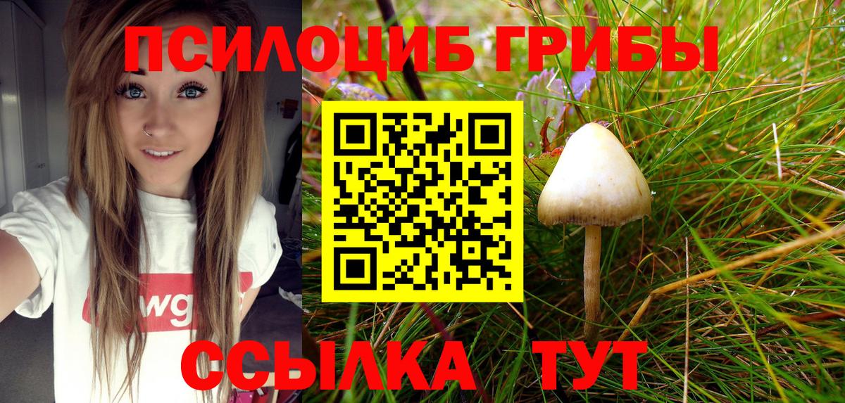 Галлюциногенные грибы мухоморы Вязьма