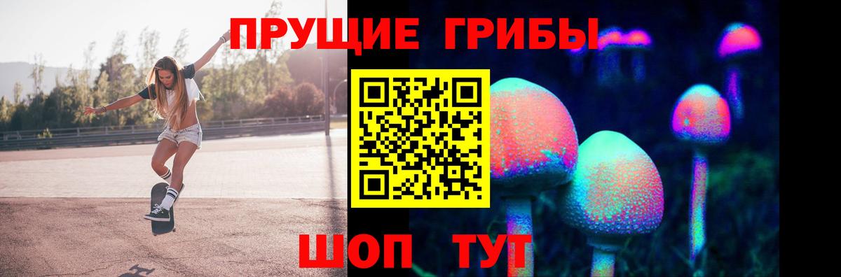 Галлюциногенные грибы Psilocybine cubensis  Псилоцибиновые грибы Psilocybe  купить   Вязьма 