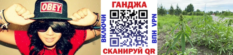 Канабис ГИДРОПОН  Вязьма 